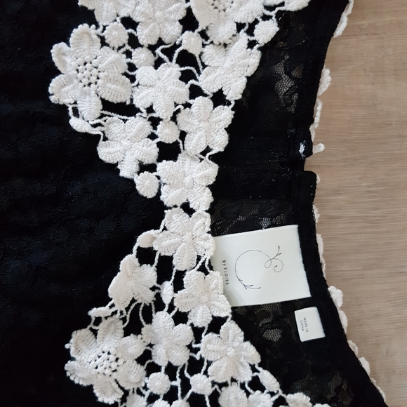 Lace Peter Pan Collar Sleeveless Shirt - Picture 4 of 7